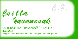 csilla havancsak business card